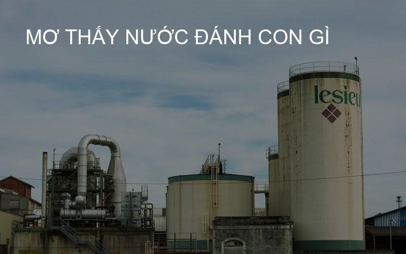mơ thấy nước đánh con gì