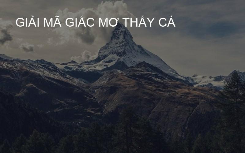Giải mã giấc mơ thấy cá