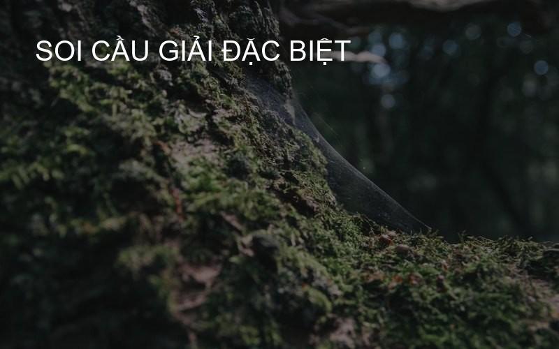 soi cầu giải đặc biệt