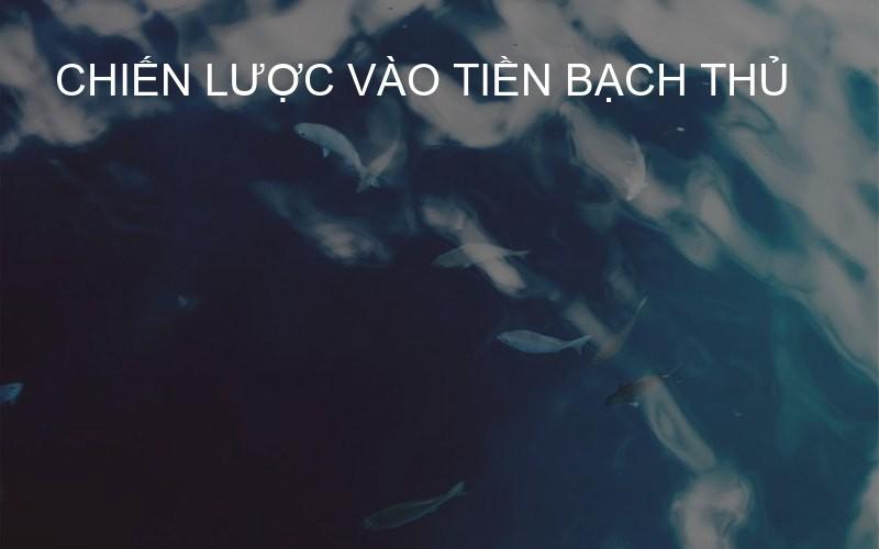 chiến lược vào tiền bạch thủ