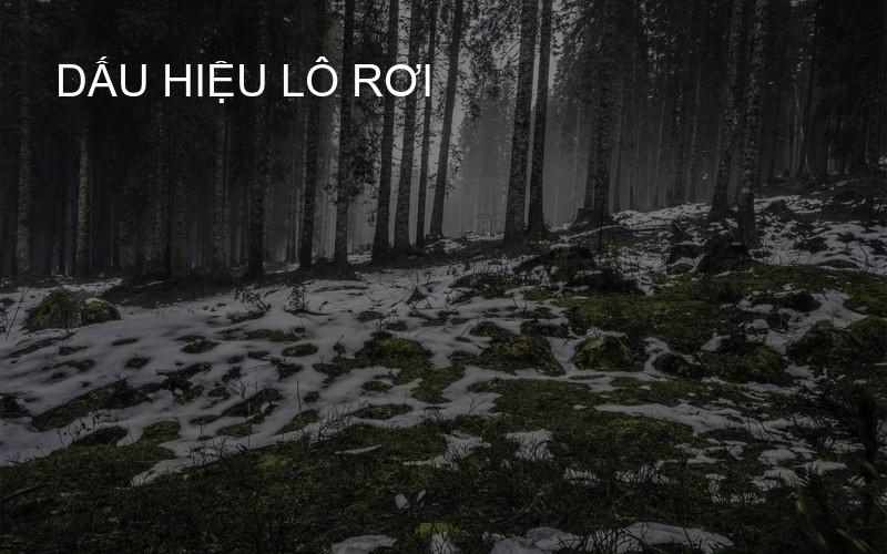 dấu hiệu lô rơi