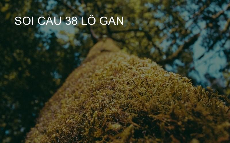 soi cầu 38 lô gan