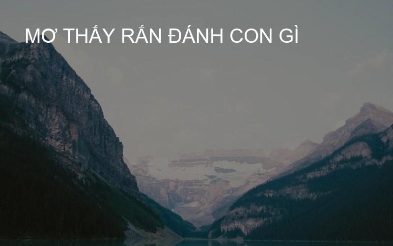 mơ thấy rắn đánh con gì