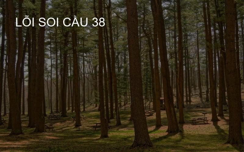 lỗi soi cầu 38