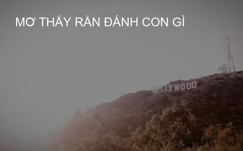 mơ thấy rắn đánh con gì