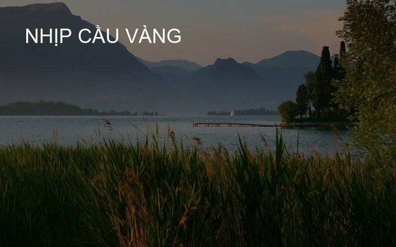 nhịp cầu vàng