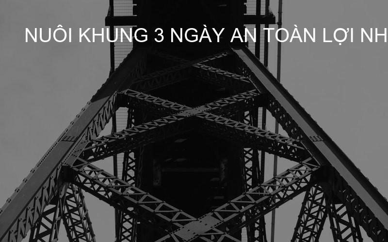 nuôi khung 3 ngày an toàn lợi nhuận cao