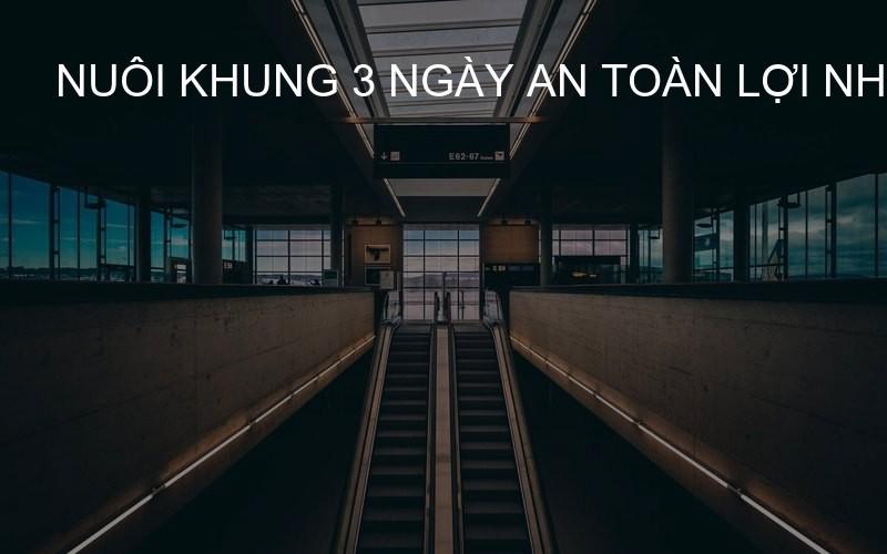 nuôi khung 3 ngày an toàn lợi nhuận cao
