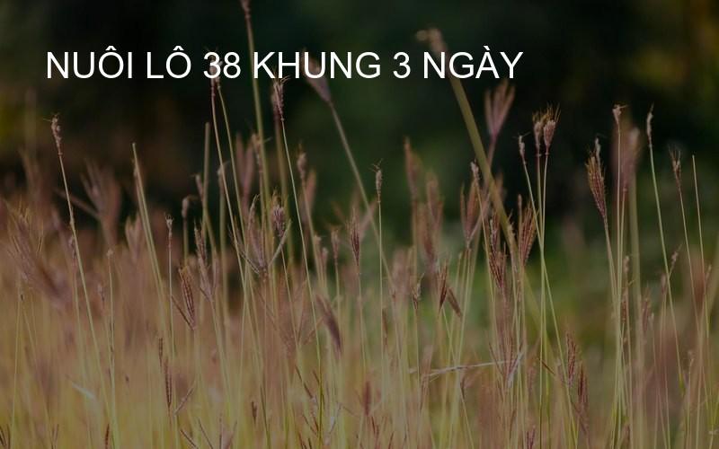 nuôi lô 38 khung 3 ngày