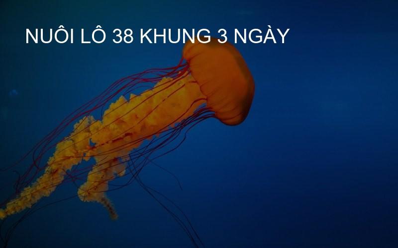 nuôi lô 38 khung 3 ngày