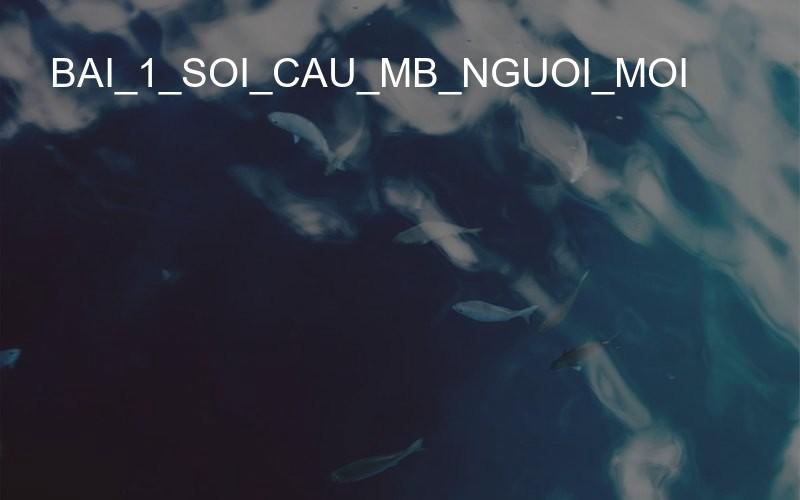 bai_1_soi_cau_mb_nguoi_moi