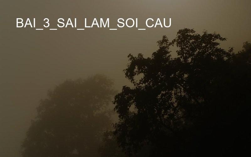 bai_3_sai_lam_soi_cau
