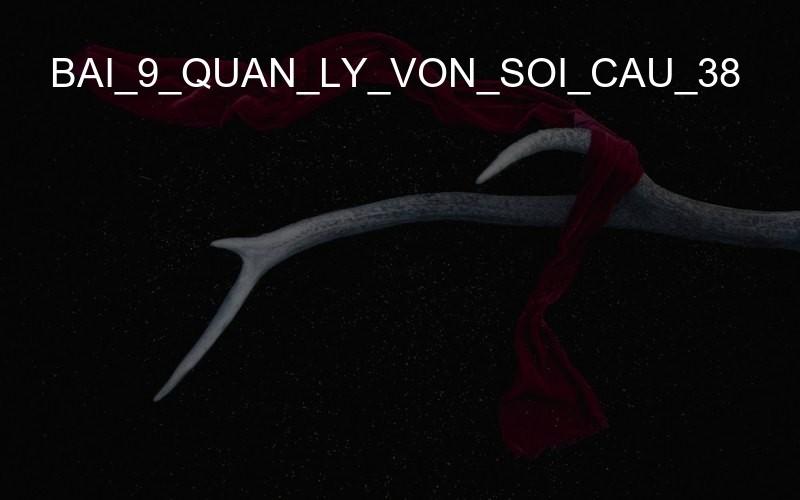 bai_9_quan_ly_von_soi_cau_38