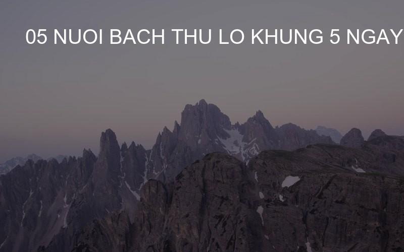 05 nuoi bach thu lo khung 5 ngay