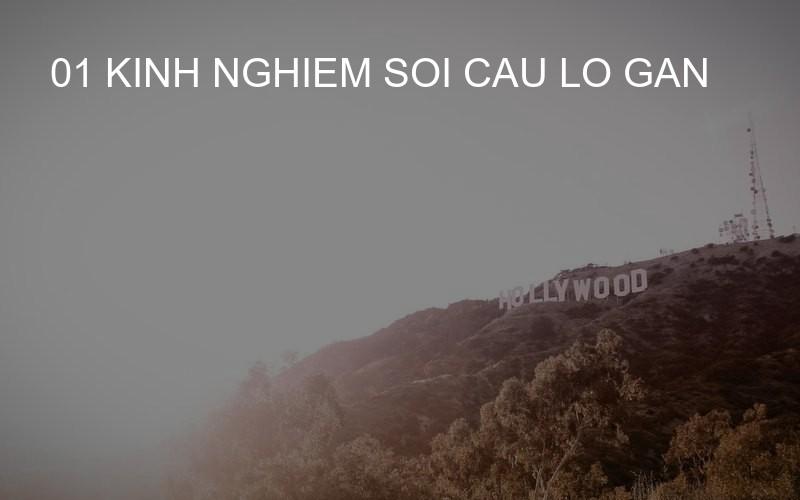 01 kinh nghiem soi cau lo gan