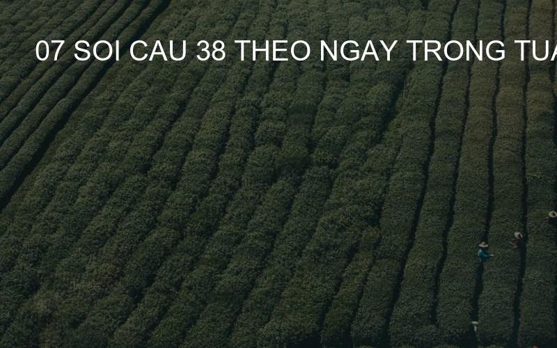 07 soi cau 38 theo ngay trong tuan