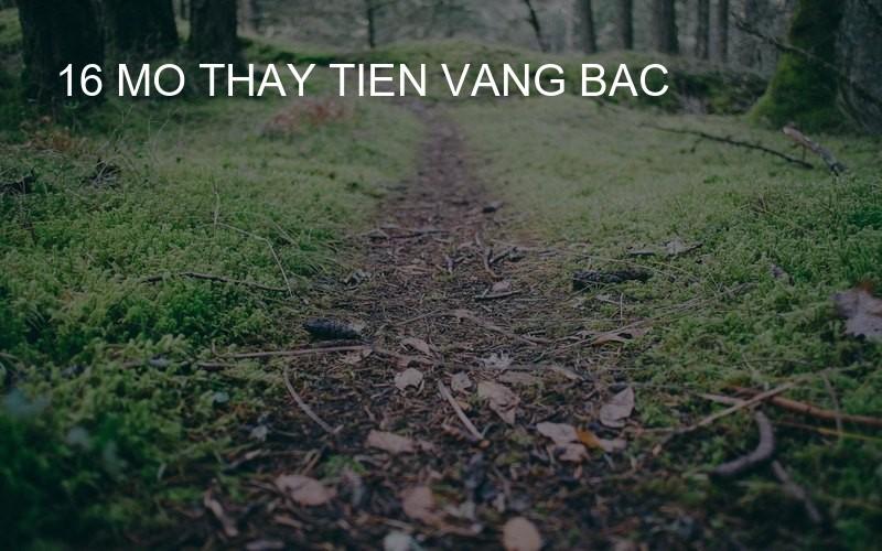 16 mo thay tien vang bac