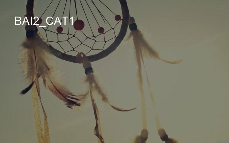 bai2_cat1