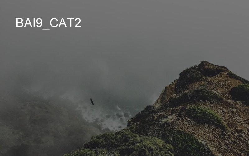 bai9_cat2