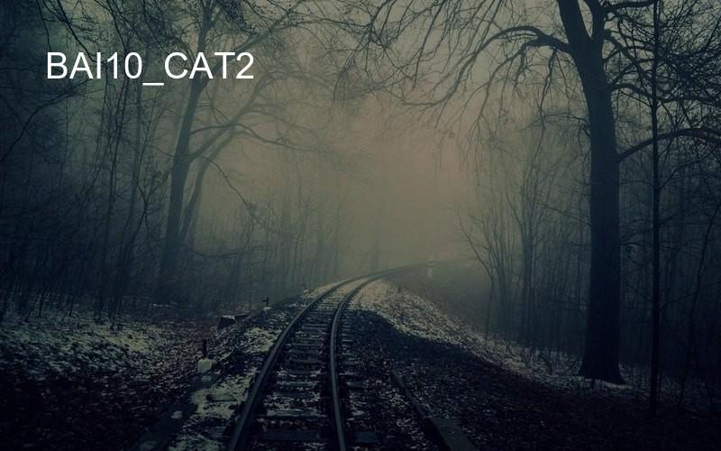 bai10_cat2