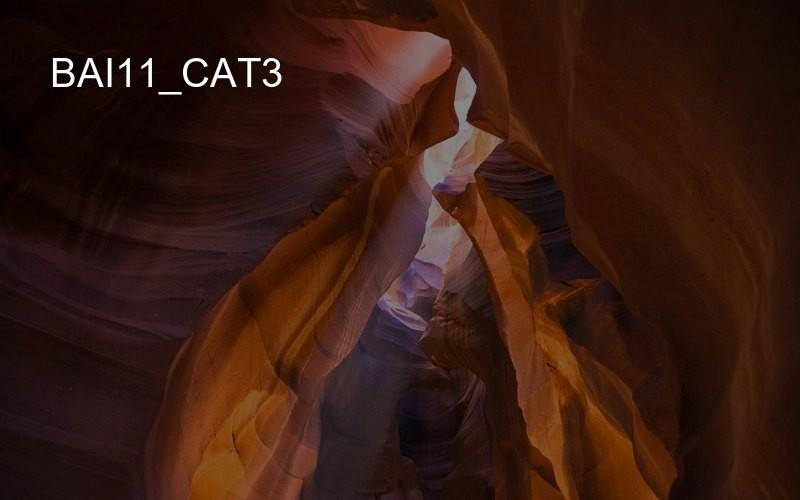 bai11_cat3