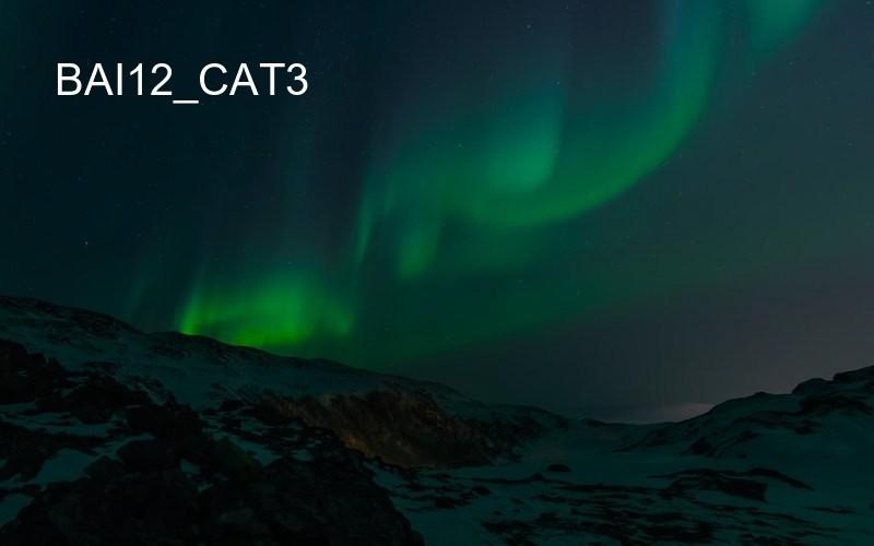 bai12_cat3