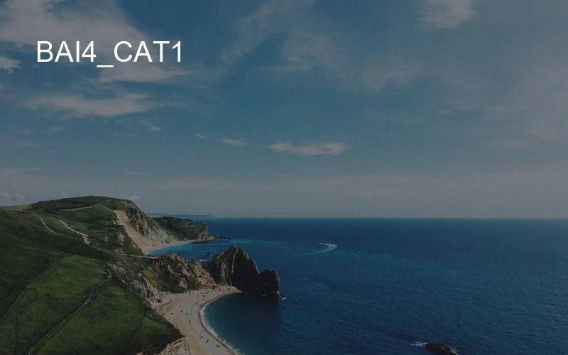 bai4_cat1