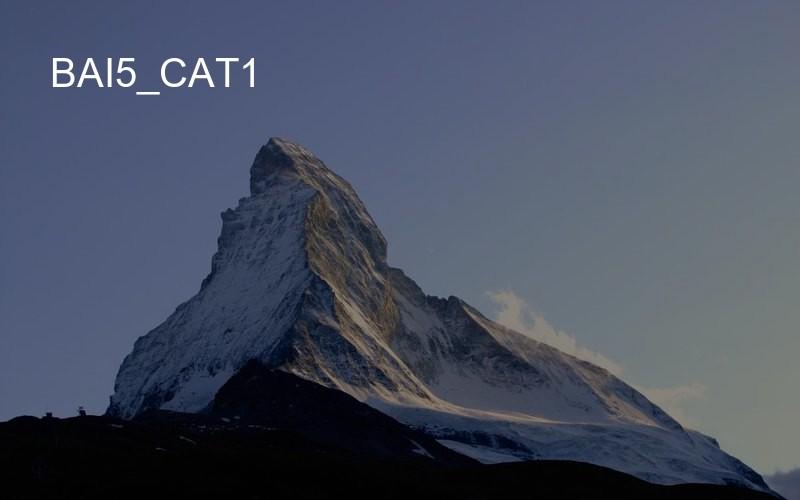 bai5_cat1