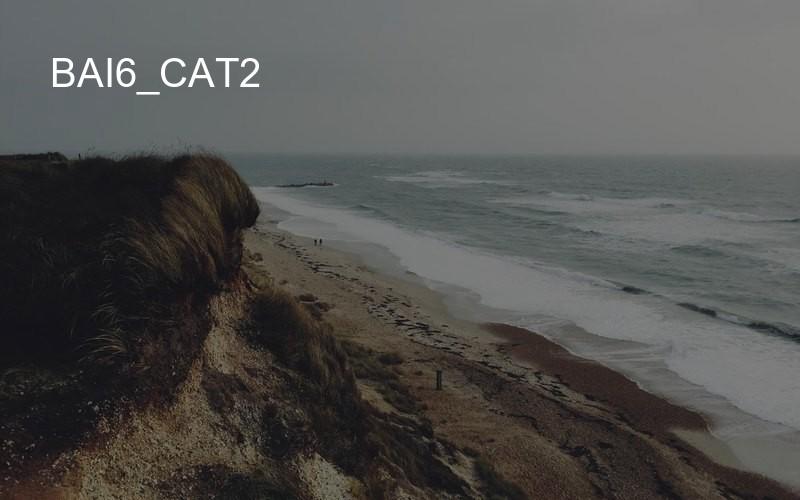 bai6_cat2