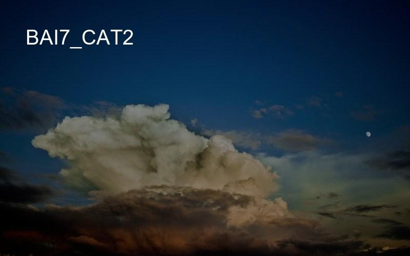 bai7_cat2