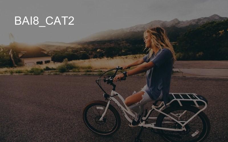 bai8_cat2