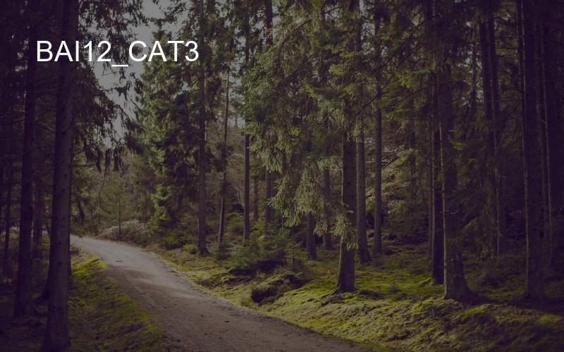 bai12_cat3
