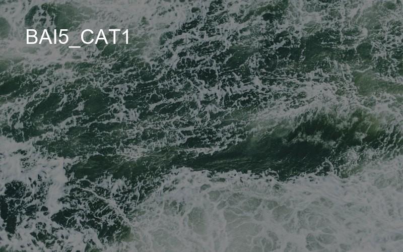 bai5_cat1