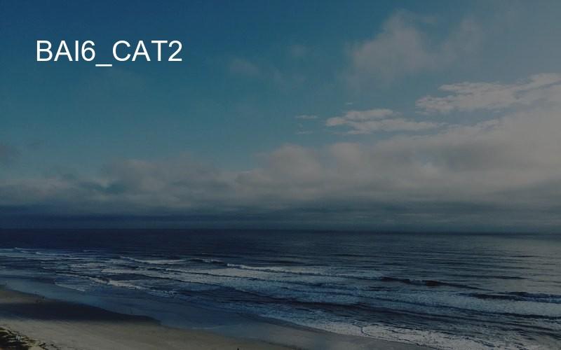 bai6_cat2