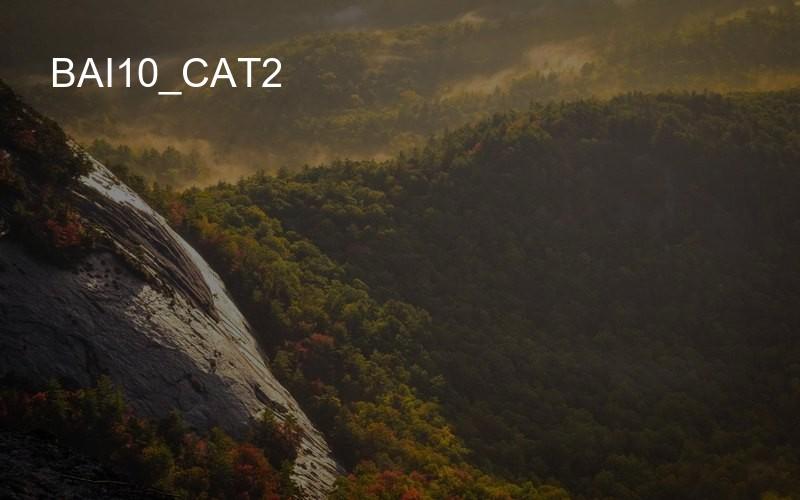 bai10_cat2