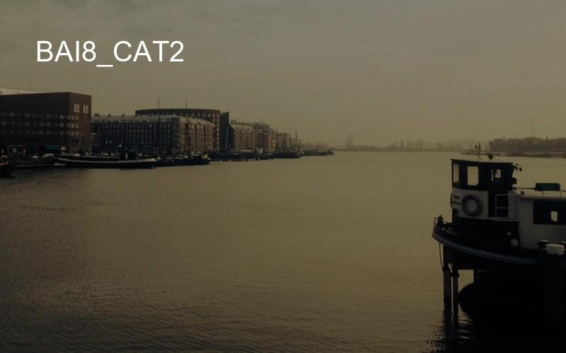 bai8_cat2