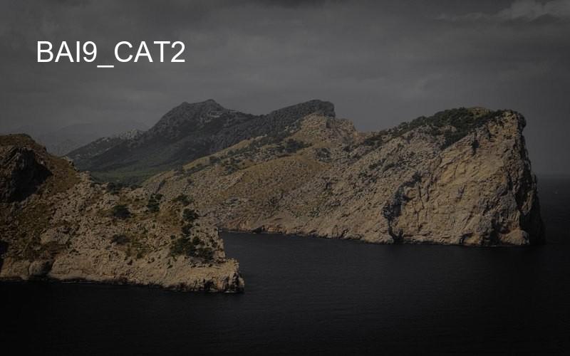 bai9_cat2