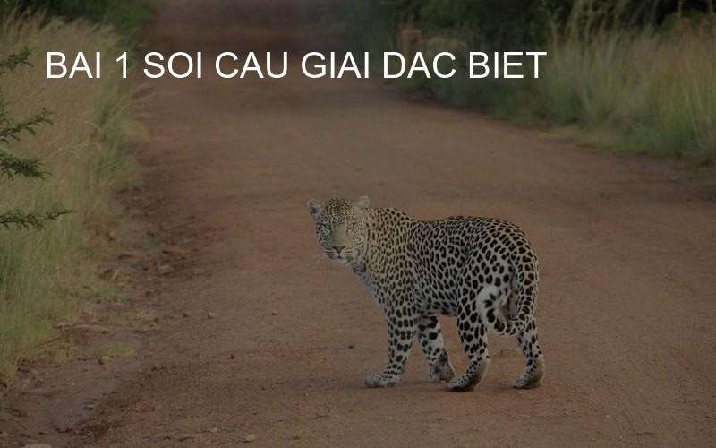 bai 1 soi cau giai dac biet