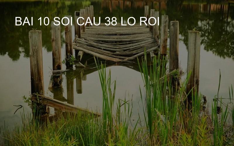 bai 10 soi cau 38 lo roi