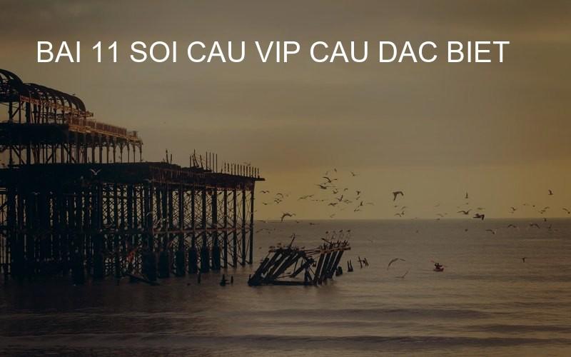 bai 11 soi cau vip cau dac biet