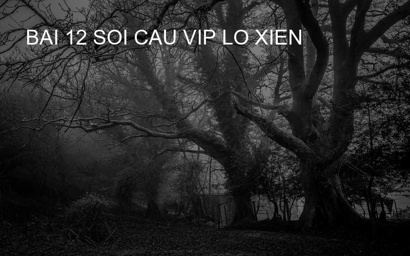 bai 12 soi cau vip lo xien