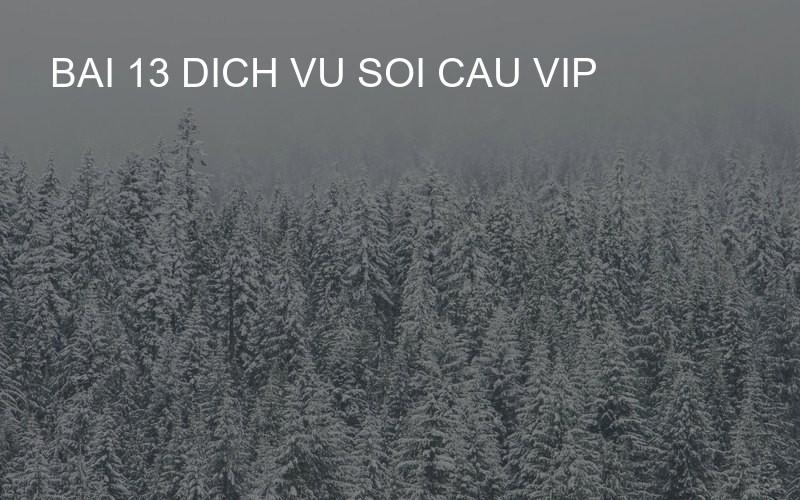 bai 13 dich vu soi cau vip