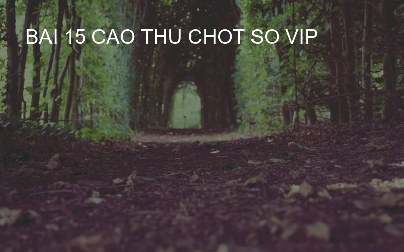 bai 15 cao thu chot so vip