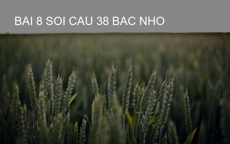 bai 8 soi cau 38 bac nho