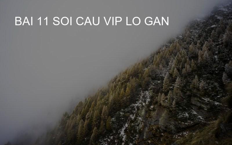 bai 11 soi cau vip lo gan