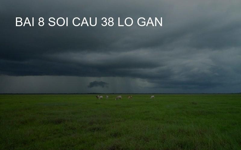 bai 8 soi cau 38 lo gan