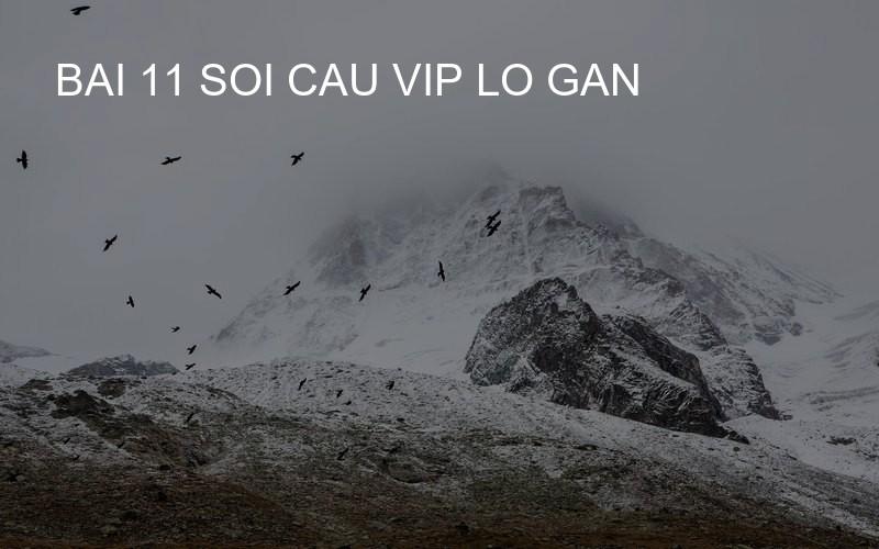 bai 11 soi cau vip lo gan