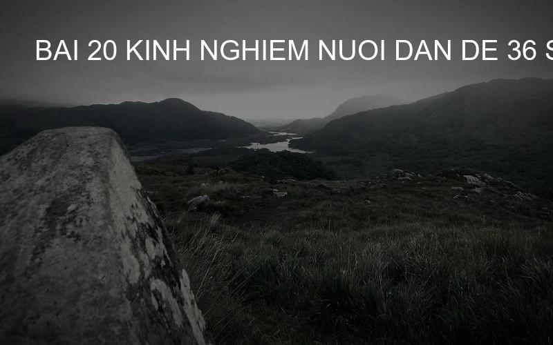 bai 20 kinh nghiem nuoi dan de 36 so