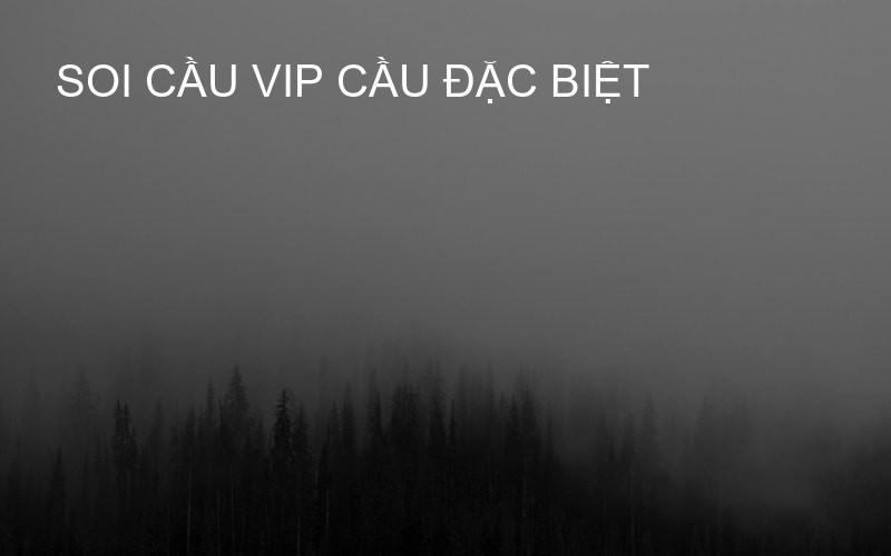 soi cầu VIP cầu đặc biệt