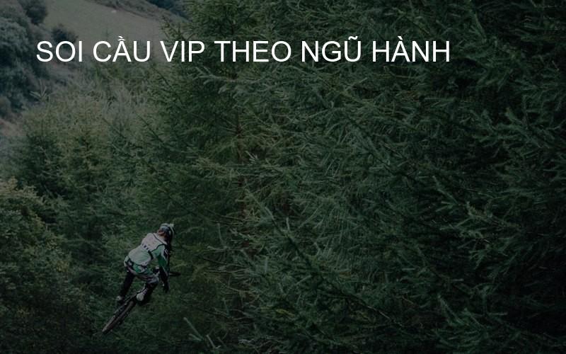 soi cầu VIP theo ngũ hành